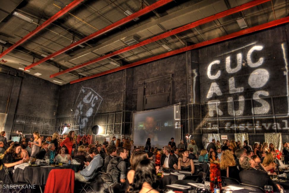 Cucalorus Film Festival Returns to Wilmington with Fresh Energy and Expanded Programming